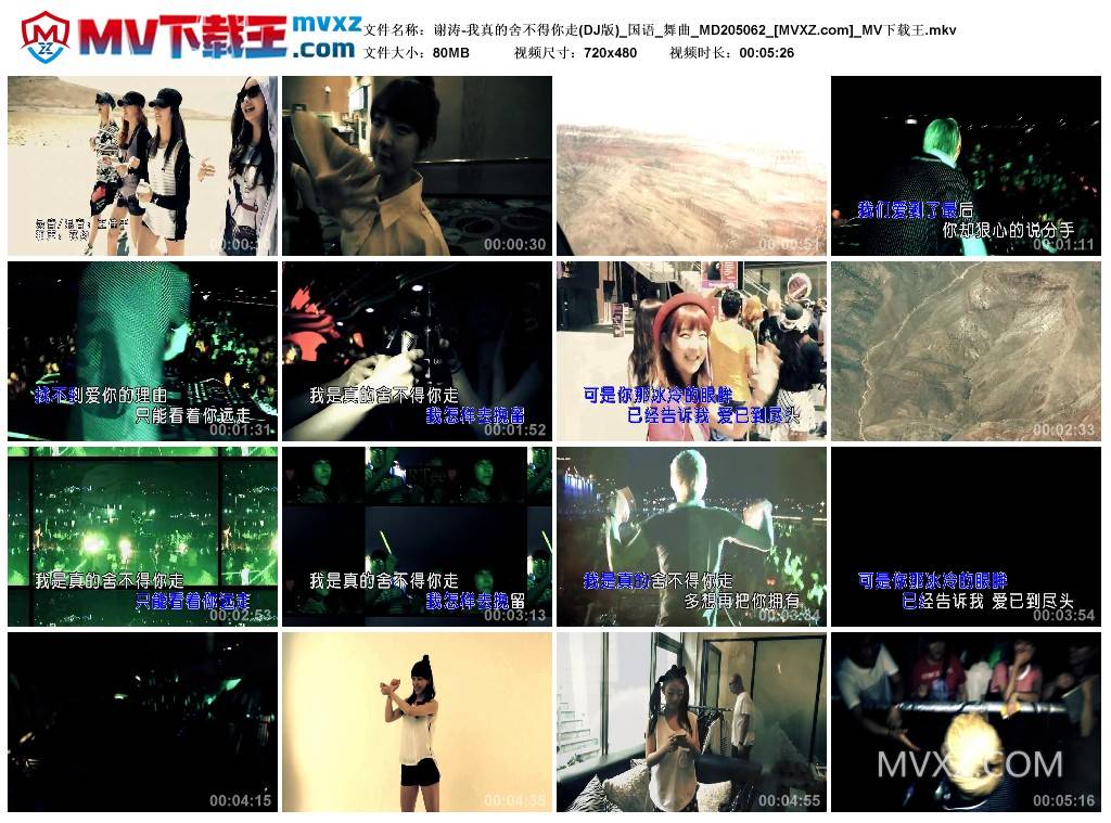 谢涛-我真的舍不得你走(DJ版)_国语_舞曲_MD205062